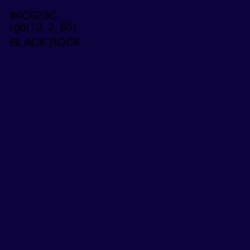 #0C023C - Black Rock Color Image