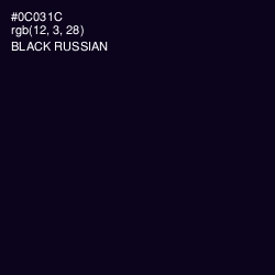 #0C031C - Black Russian Color Image