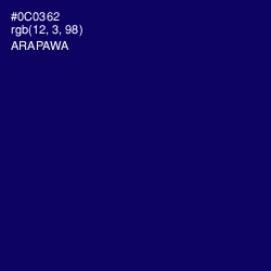 #0C0362 - Arapawa Color Image