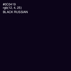 #0C0419 - Black Russian Color Image