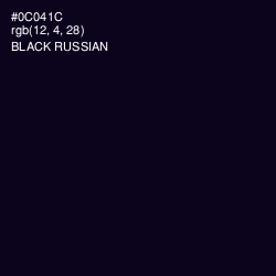 #0C041C - Black Russian Color Image