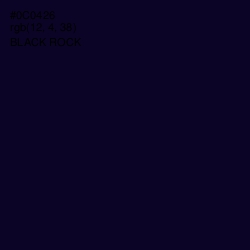 #0C0426 - Black Rock Color Image