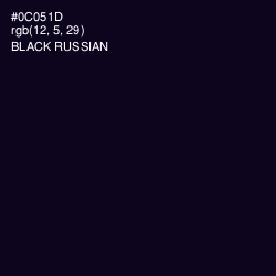 #0C051D - Black Russian Color Image