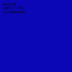 #0C07B6 - Ultramarine Color Image