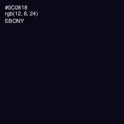 #0C0818 - Ebony Color Image