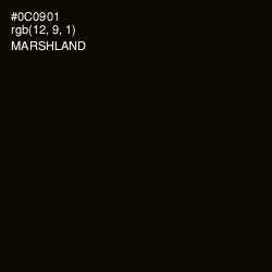 #0C0901 - Marshland Color Image