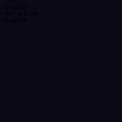 #0C0917 - Cinder Color Image