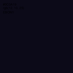 #0C0A19 - Ebony Color Image