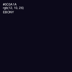 #0C0A1A - Ebony Color Image