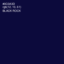 #0C0A3D - Black Rock Color Image