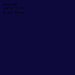 #0C0A3E - Black Rock Color Image