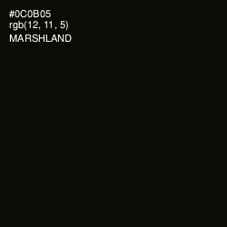 #0C0B05 - Marshland Color Image