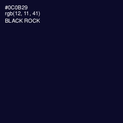 #0C0B29 - Black Rock Color Image