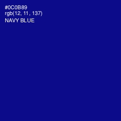 #0C0B89 - Navy Blue Color Image