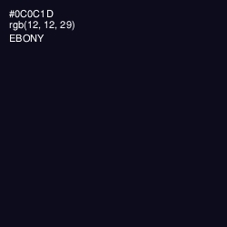 #0C0C1D - Ebony Color Image