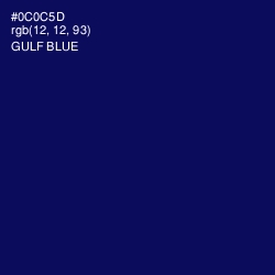 #0C0C5D - Gulf Blue Color Image