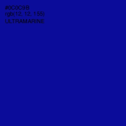 #0C0C9B - Ultramarine Color Image