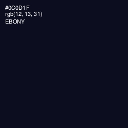 #0C0D1F - Ebony Color Image