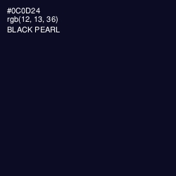 #0C0D24 - Black Pearl Color Image