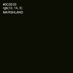 #0C0E03 - Marshland Color Image