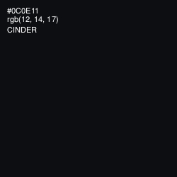 #0C0E11 - Cinder Color Image