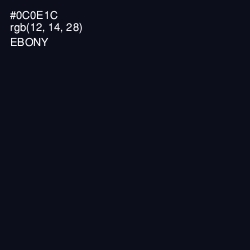 #0C0E1C - Ebony Color Image