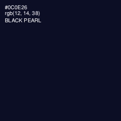 #0C0E26 - Black Pearl Color Image
