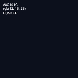 #0C101C - Bunker Color Image