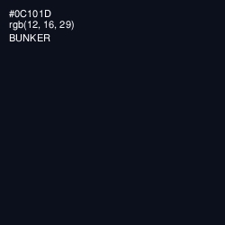 #0C101D - Bunker Color Image