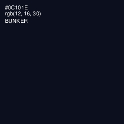 #0C101E - Bunker Color Image