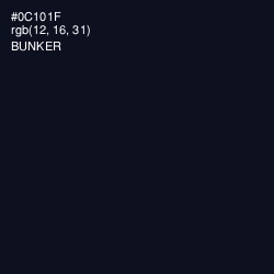 #0C101F - Bunker Color Image