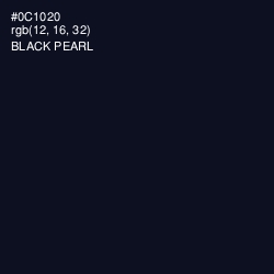 #0C1020 - Black Pearl Color Image