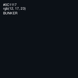 #0C1117 - Bunker Color Image