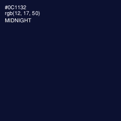 #0C1132 - Midnight Color Image