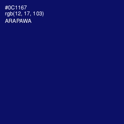 #0C1167 - Arapawa Color Image