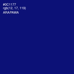 #0C1177 - Arapawa Color Image