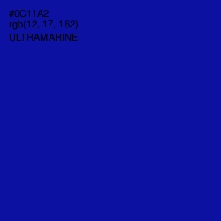 #0C11A2 - Ultramarine Color Image