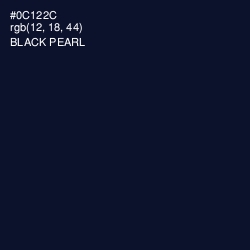 #0C122C - Black Pearl Color Image