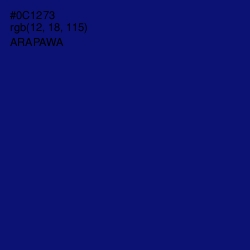 #0C1273 - Arapawa Color Image