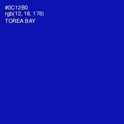 #0C12B0 - Torea Bay Color Image