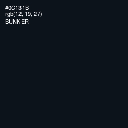 #0C131B - Bunker Color Image