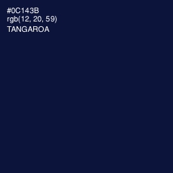 #0C143B - Tangaroa Color Image