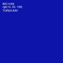 #0C14A9 - Torea Bay Color Image