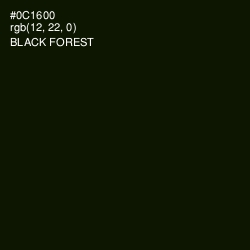 #0C1600 - Black Forest Color Image