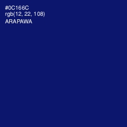 #0C166C - Arapawa Color Image