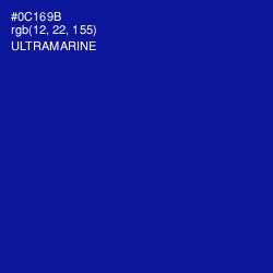 #0C169B - Ultramarine Color Image