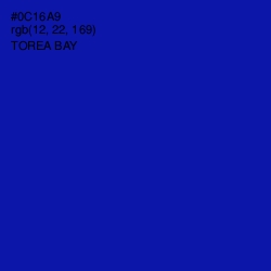 #0C16A9 - Torea Bay Color Image