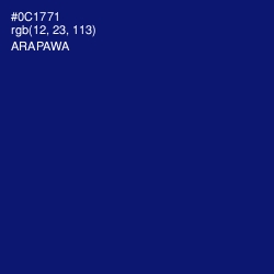 #0C1771 - Arapawa Color Image