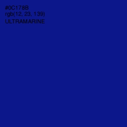 #0C178B - Ultramarine Color Image