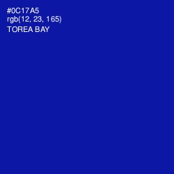 #0C17A5 - Torea Bay Color Image